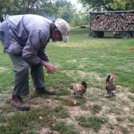 Amazing Dedication Image